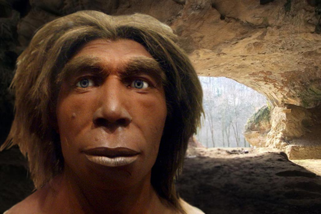 What Really Happened To The Neanderthals Our Ancient History