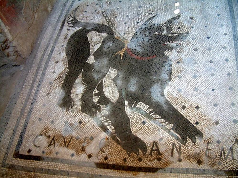 Cave canem mosaics ('Beware of the dog') were a popular motif for the thresholds of Roman villas. 