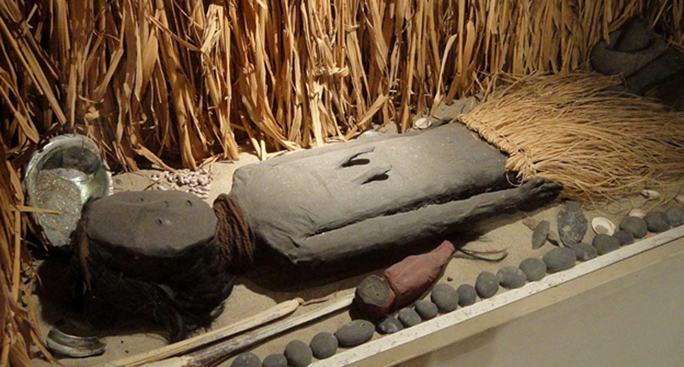 Museum installation featuring Chinchorro mummy exhibit, south coast of Peru or north coast of Chile, 5000-2000 BC. 