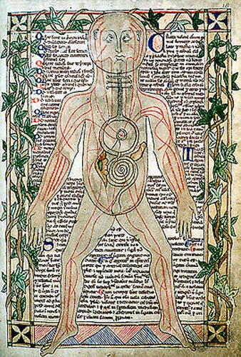 Medieval medical anatomical illustration.