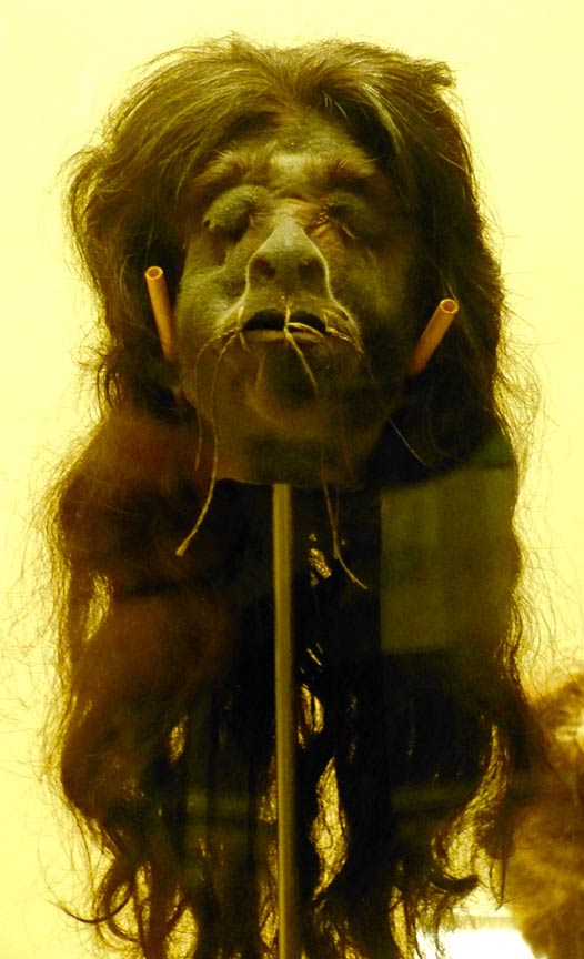 Shuar shrunken head from Stadt Salzburg (Österreich) Haus der Natur