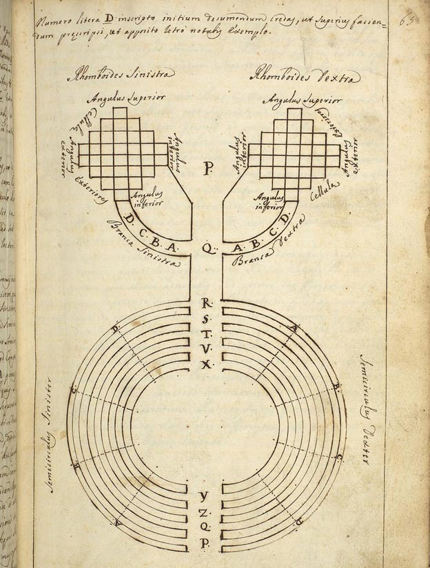 16th-century treatise on Kabbalistic Gematria (the mystical interpretation of language), in which strings of letters, in this case Latin sentences, are assigned a numerical value.