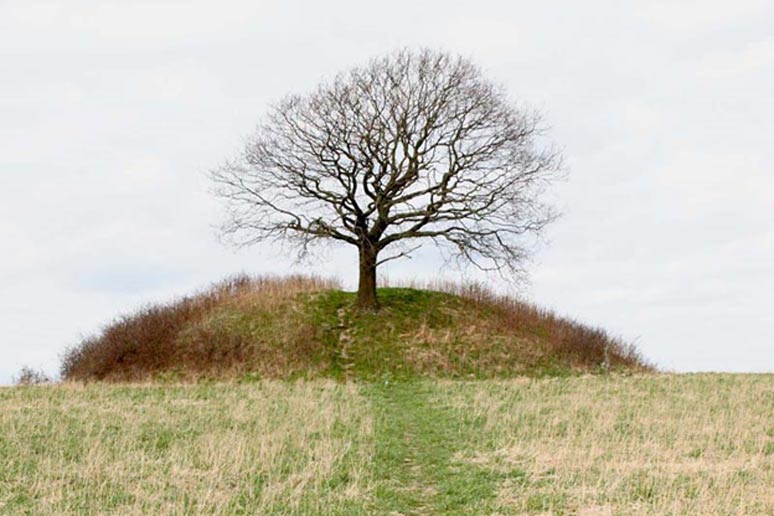 A tree grows atop Mysselhøj, a Nordic Bronze Age burial mound in Roskilde, Denmark. 